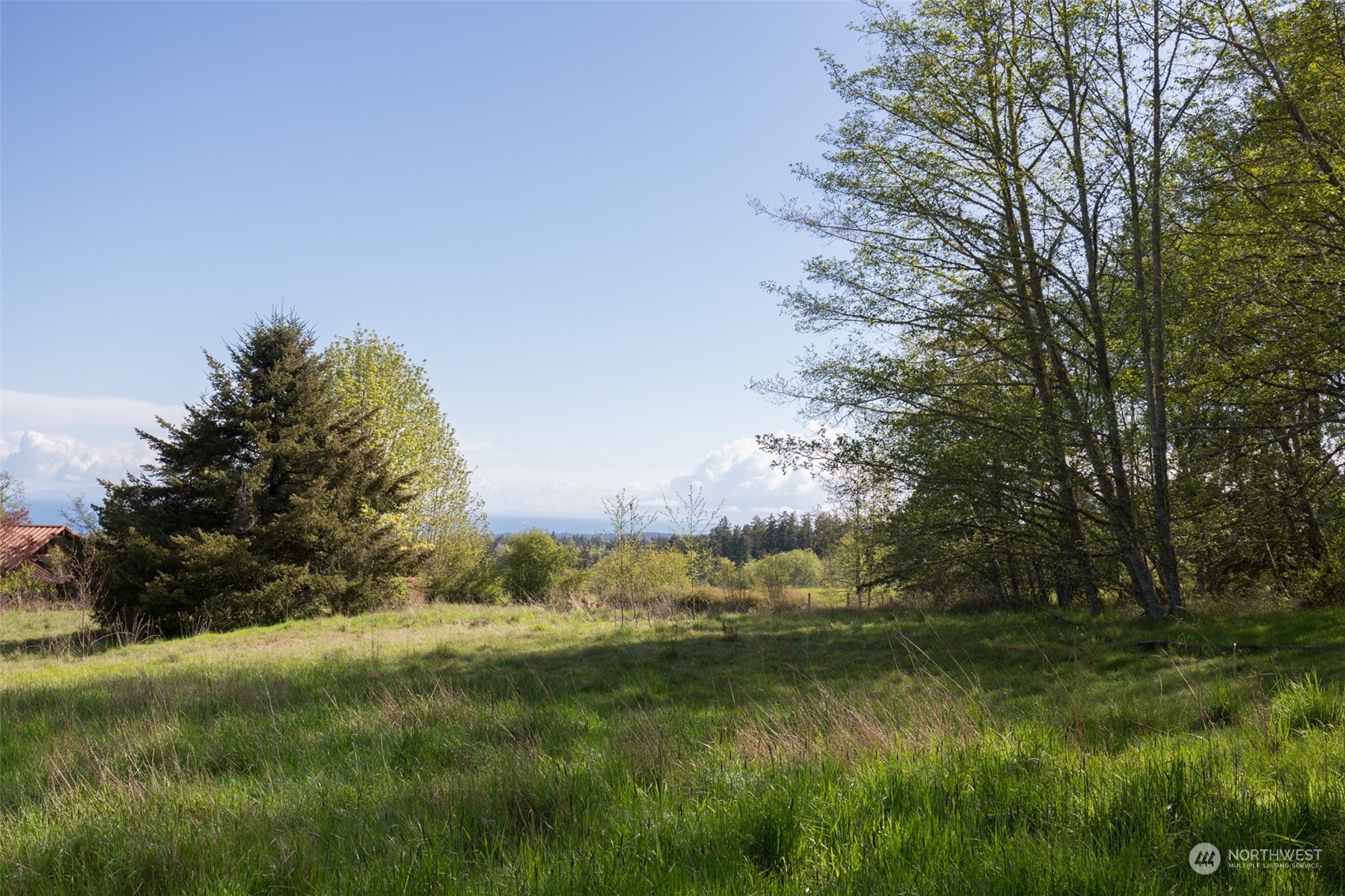 0 Harrington Road Port Angeles, WA 98362 - Photo 17 of 40