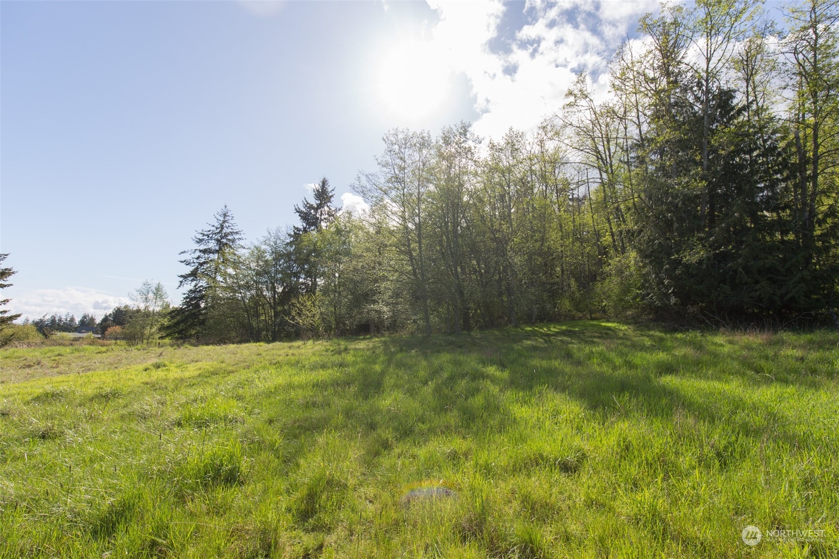 0 Harrington Road Port Angeles, WA 98362 - Photo 21 of 40