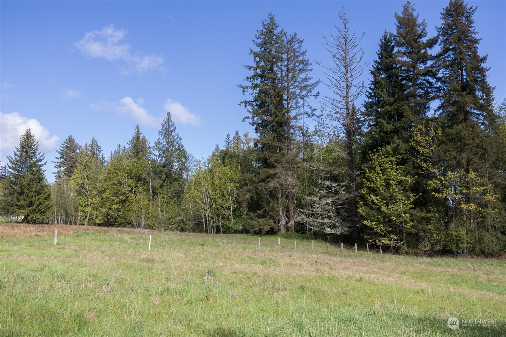 0 Harrington Road Port Angeles, WA 98362 - Photo 27 of 40