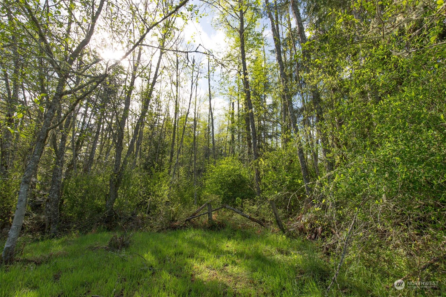 0 Harrington Road Port Angeles, WA 98362 - Photo 28 of 40