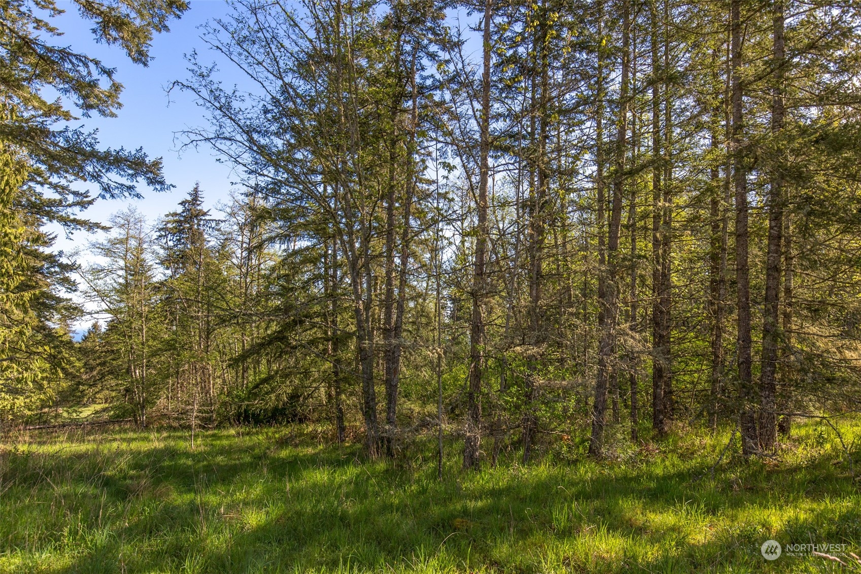 0 Harrington Road Port Angeles, WA 98362 - Photo 5 of 40