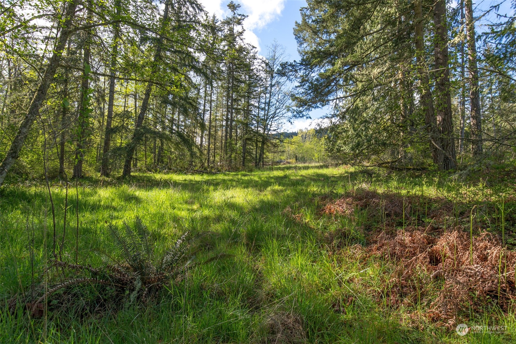 0 Harrington Road Port Angeles, WA 98362 - Photo 8 of 40