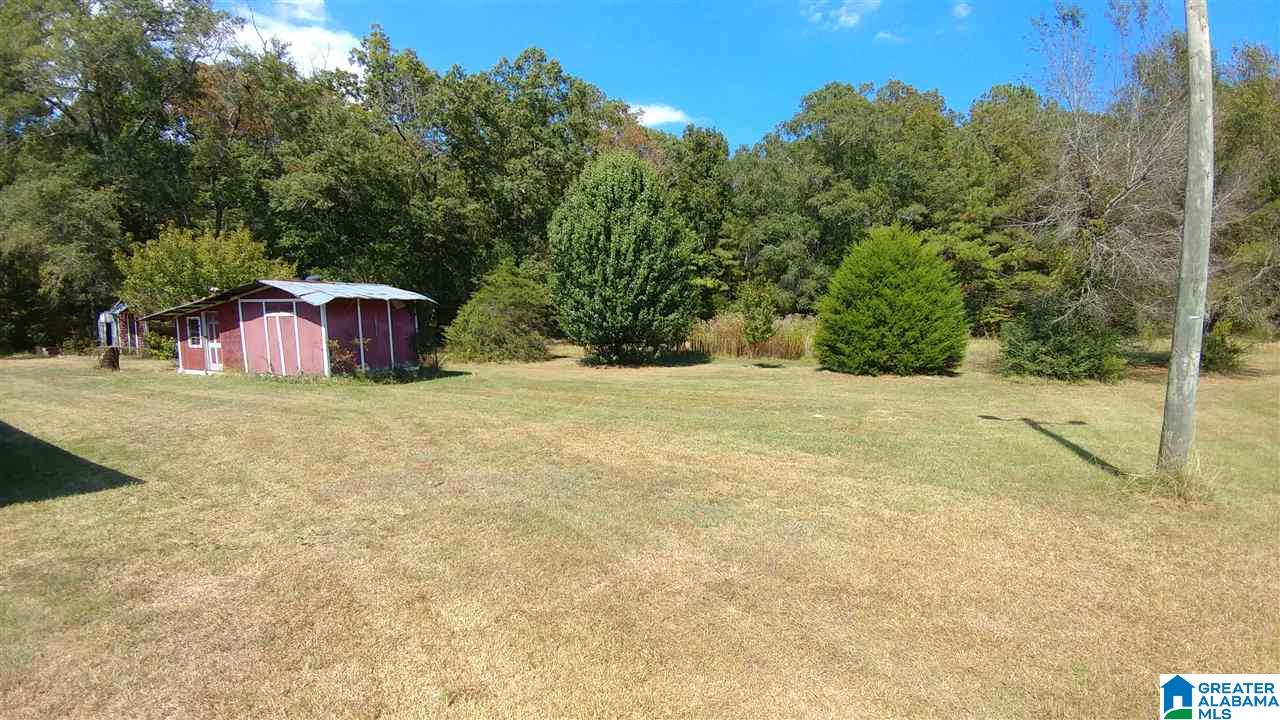 67676 Highway 77 Talladega, AL 35160 - Photo 4 of 11