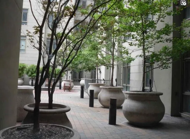 a view of a patio with couches table and chairs under an umbrella with large trees