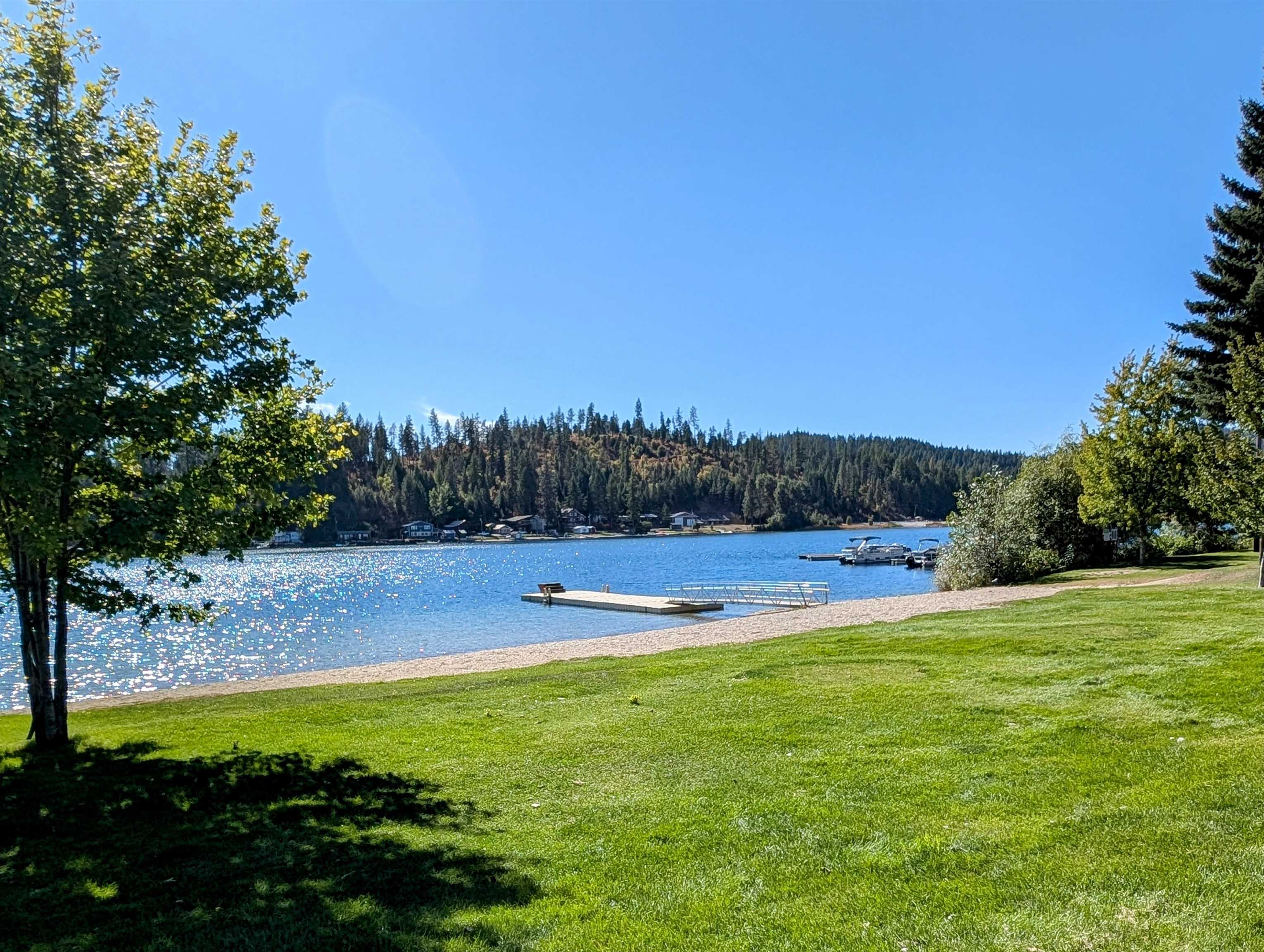 40175 Evan Road Loon Lake, WA 99148 - Photo 50 of 50 Gallery Image 50