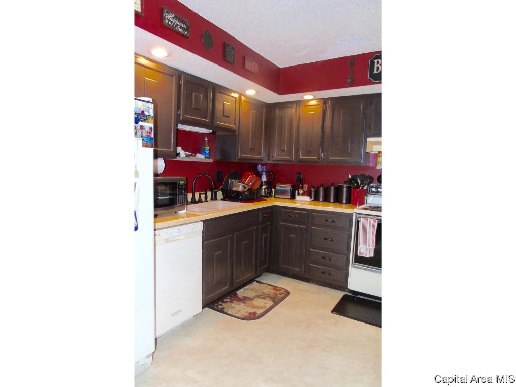 5 Merlin Drive Rochester, IL 62563 - Photo 5 of 14