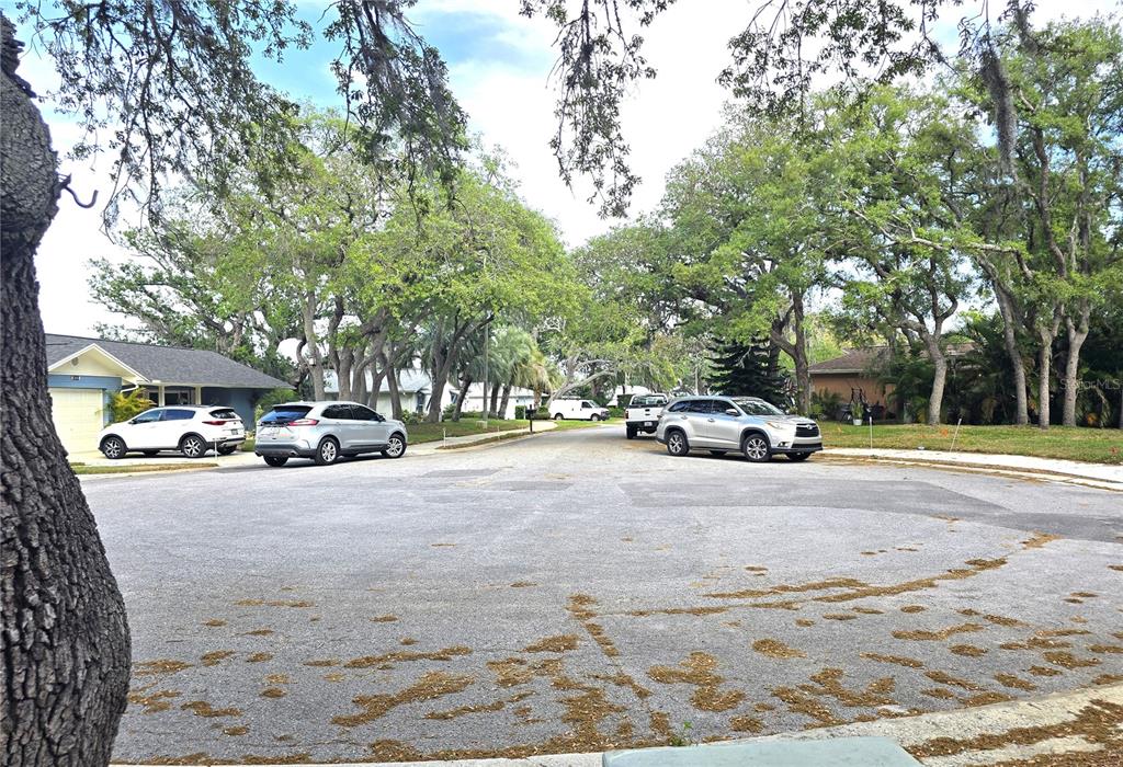 10641 Timber Lane Port Richey, FL 34668 - Photo 40 of 41