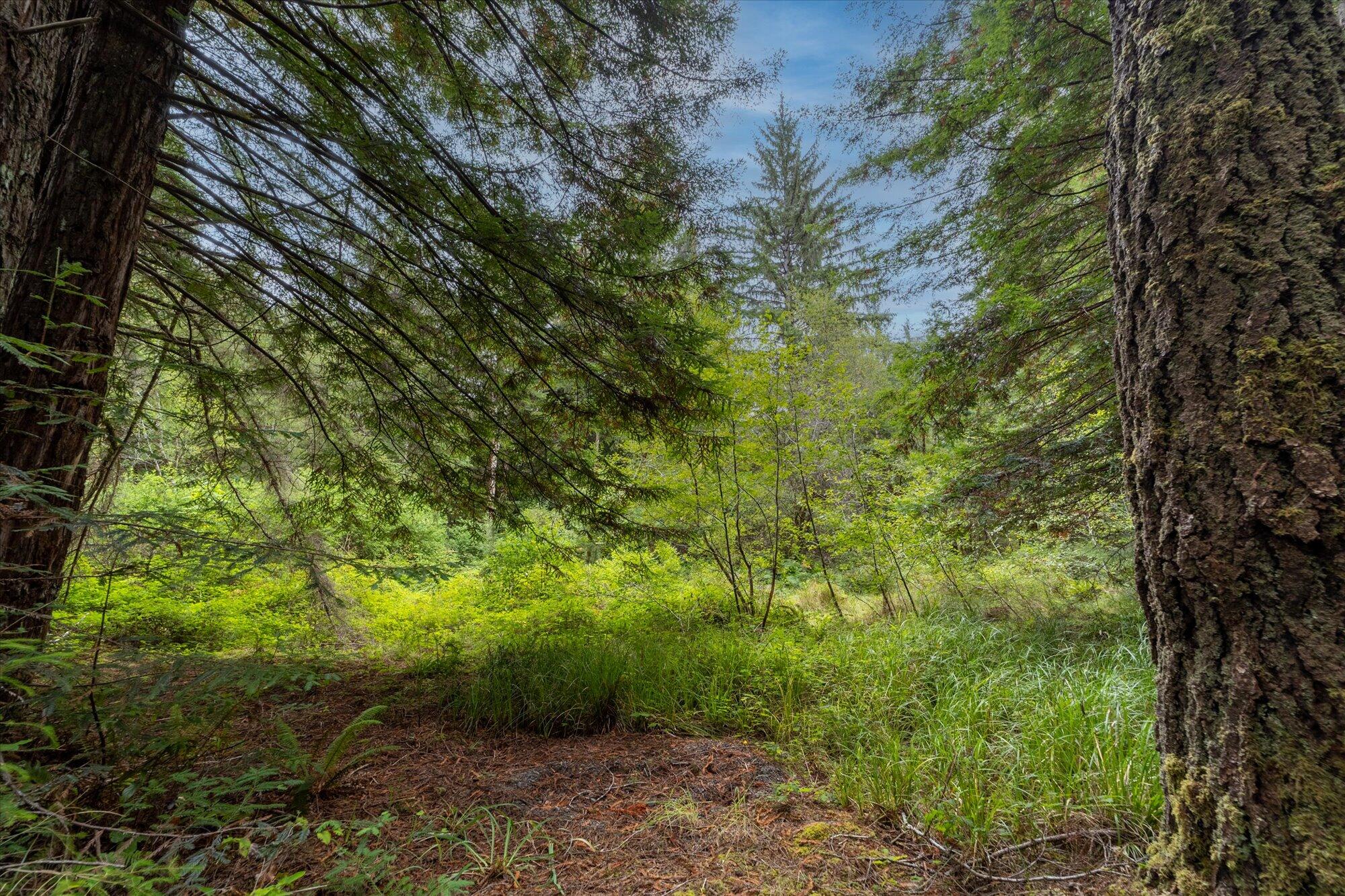 3924 Old Railroad Grade Road McKinleyville, CA 95521 - Photo 60 of 71 59-3924 Old Railroad-215