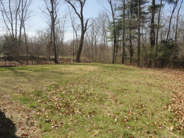128 Brandy Hill Road Thompson, CT 06277 - Photo 26 of 26 a view of a yard with large trees