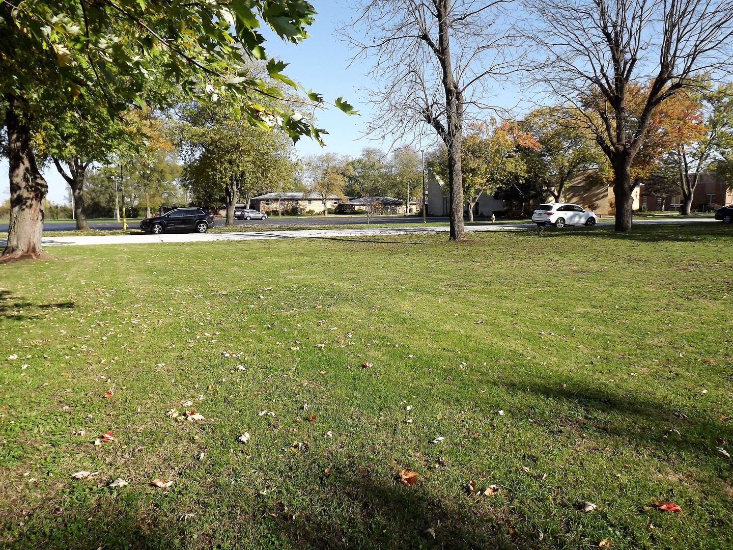 a view of yard with green space and trees