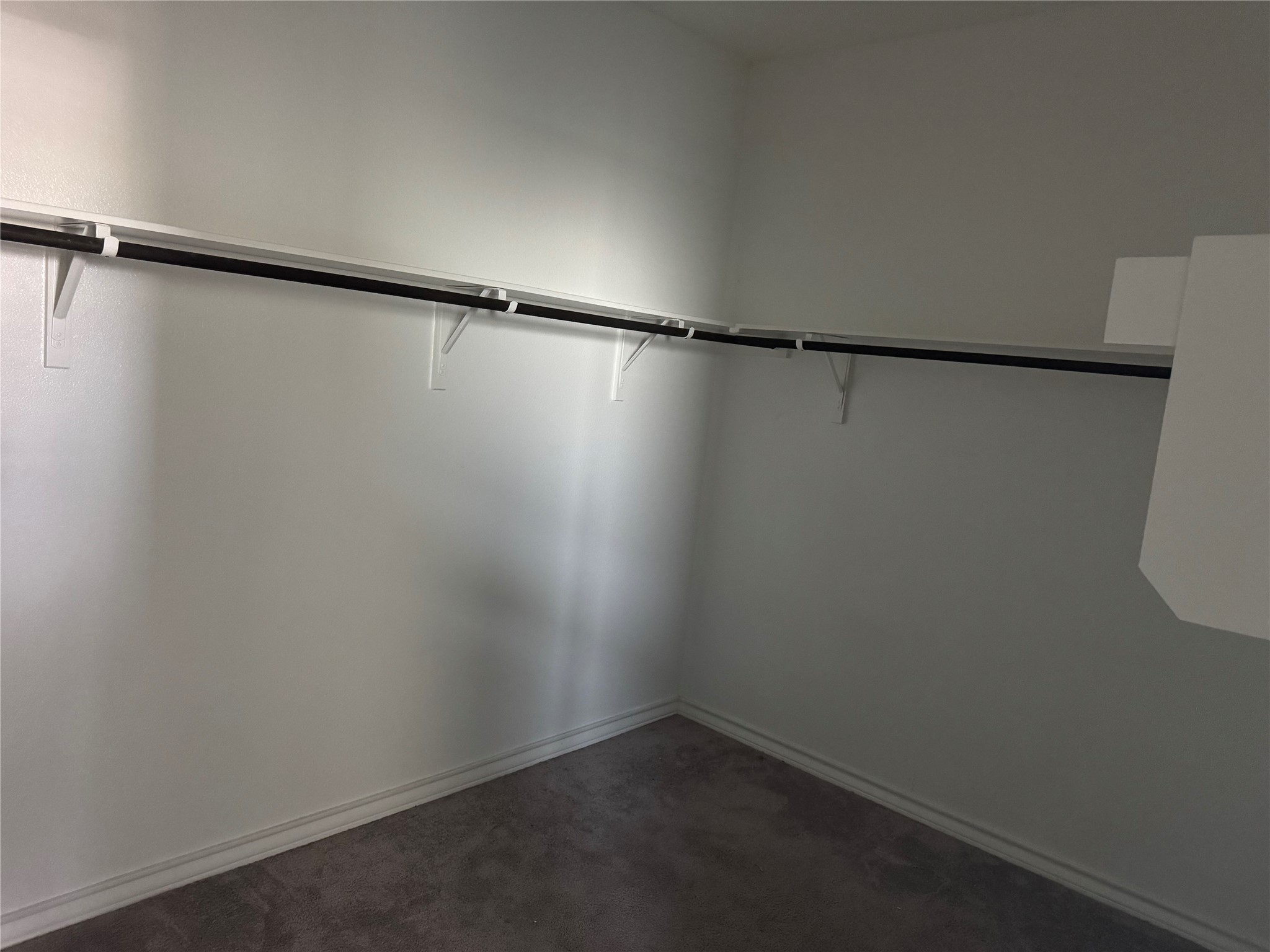 333 Capstone Road Liberty Hill, TX 78642 - Photo 26 of 40 Walk in closet featuring dark colored carpet