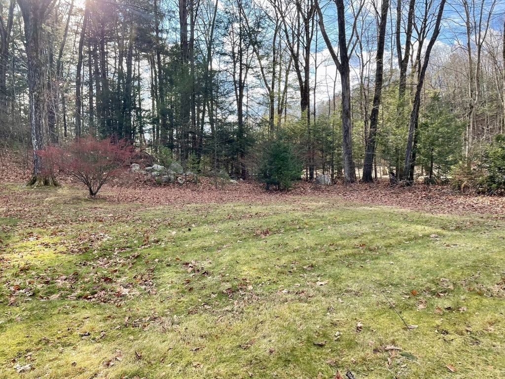 300 Main Road Westhampton, MA 01027 - Photo 29 of 35 a view of outdoor space with trees