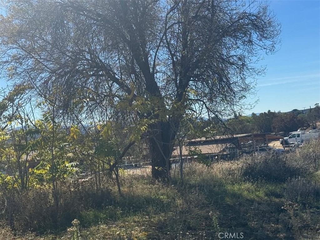 56965 Highway 371 Anza, CA 92539 - Photo 11 of 14 a view of river covered with trees