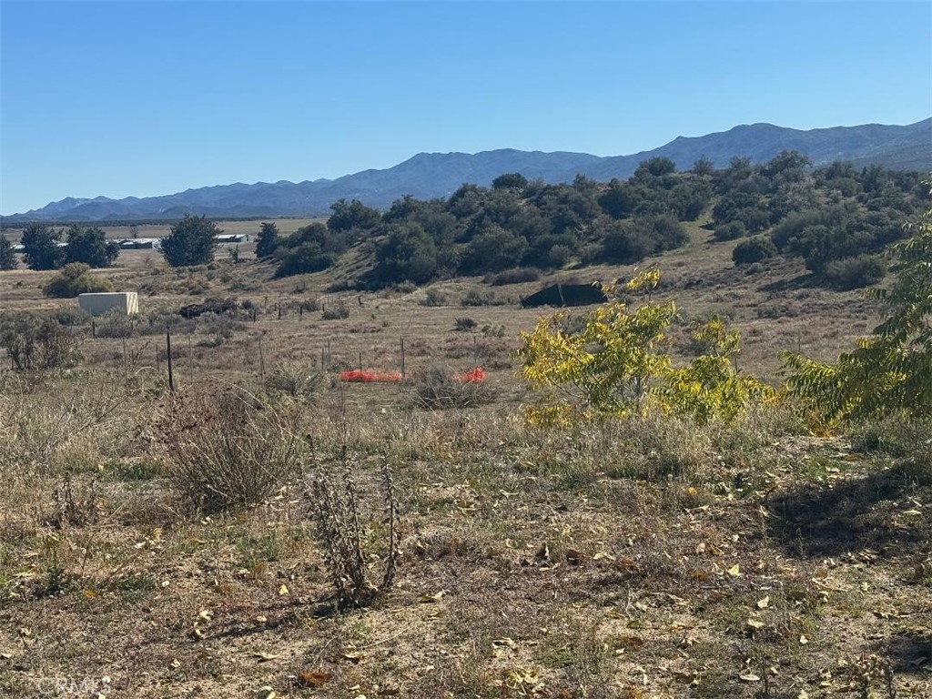 56965 Highway 371 Anza, CA 92539 - Photo 12 of 14 a view of a town with mountains in the background