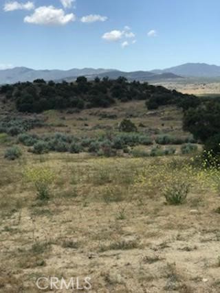 56965 Highway 371 Anza, CA 92539 - Photo 6 of 14 a view of mountain with lake view