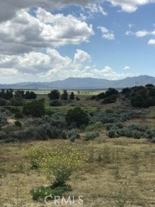 56965 Highway 371 Anza, CA 92539 - Photo 7 of 14 a view of a field of grass and car