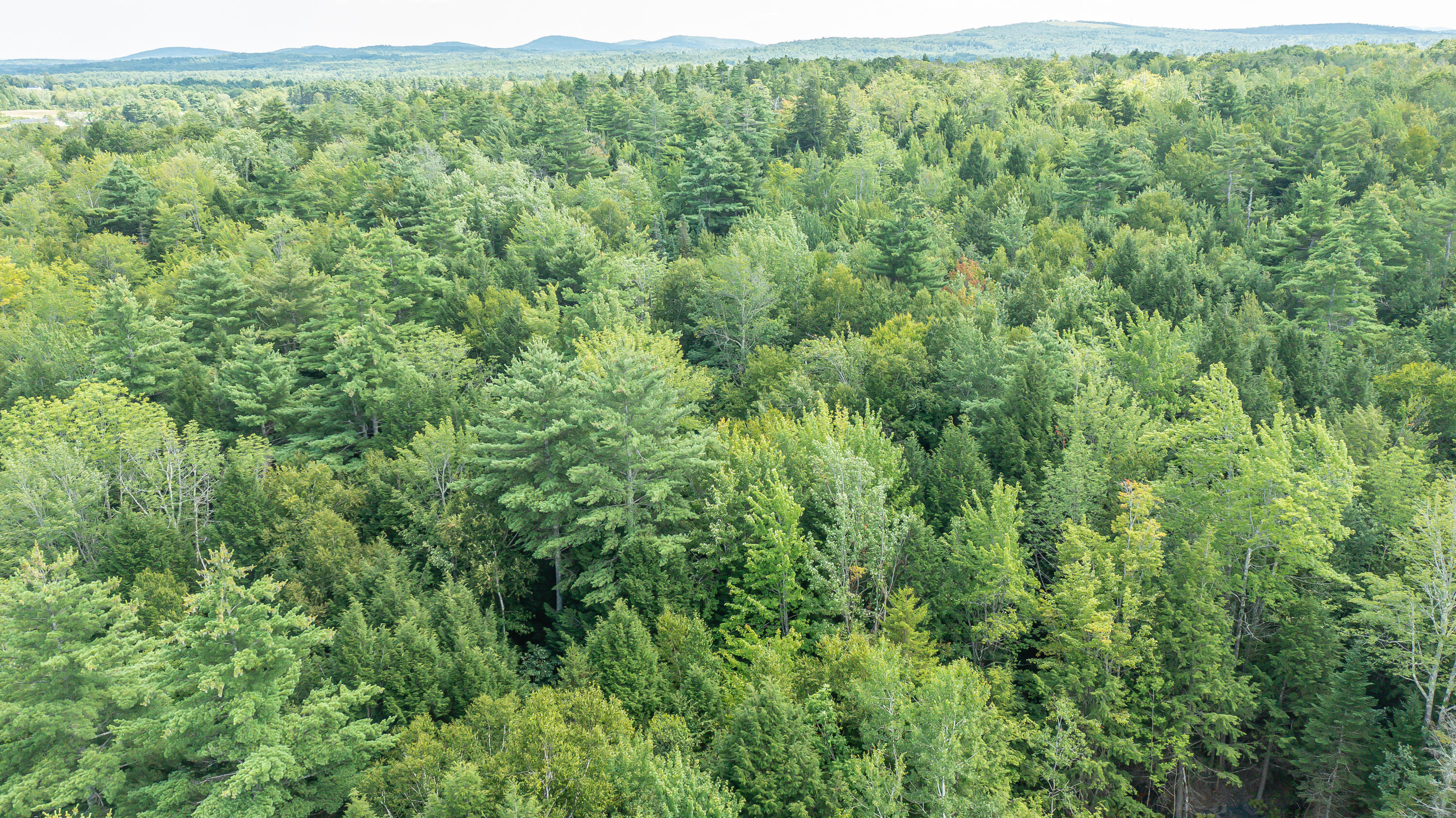 81 Pitcher Road Belfast, ME 04915 - Photo 11 of 14 6171