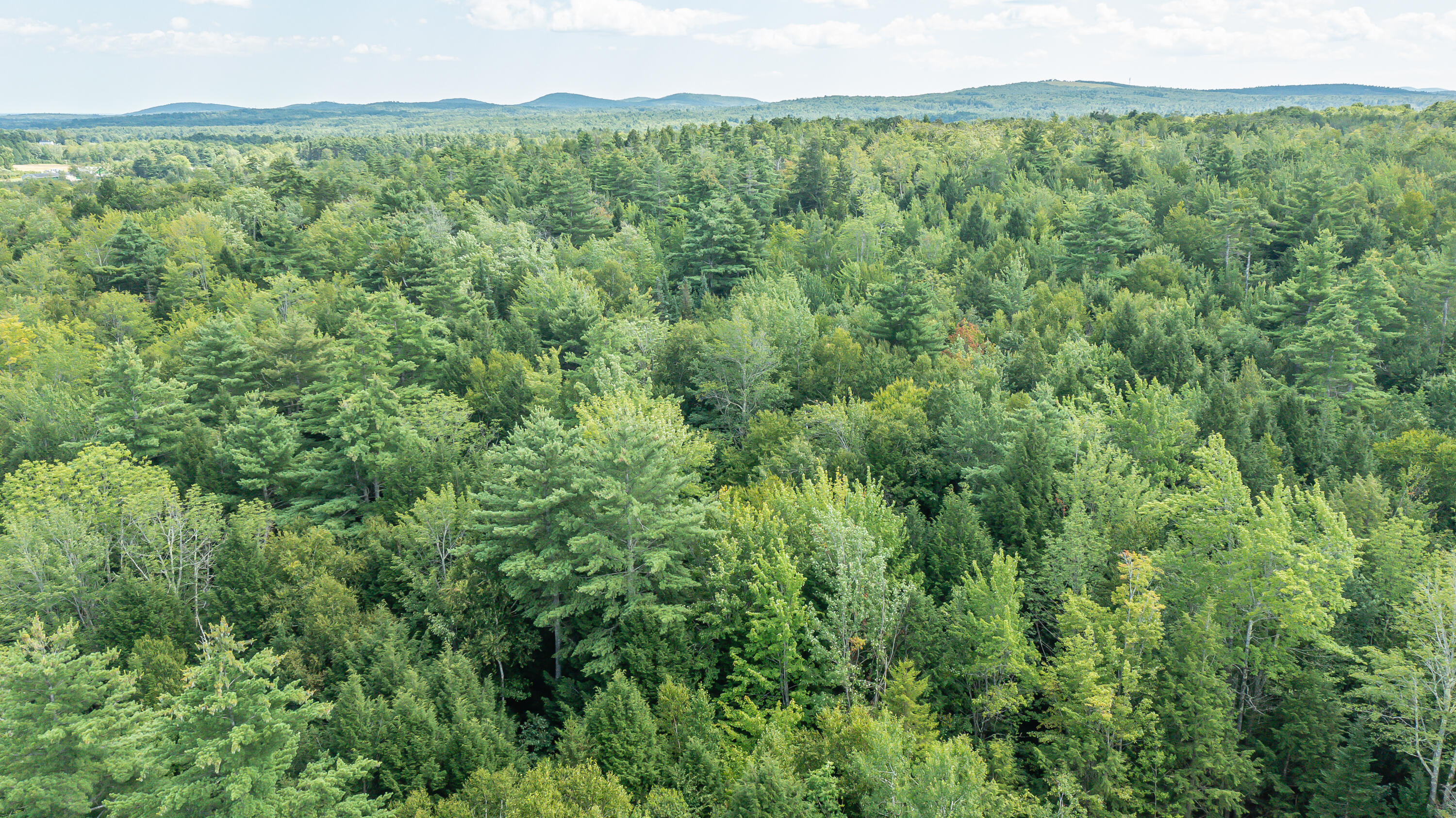 81 Pitcher Road Belfast, ME 04915 - Photo 12 of 14 6172