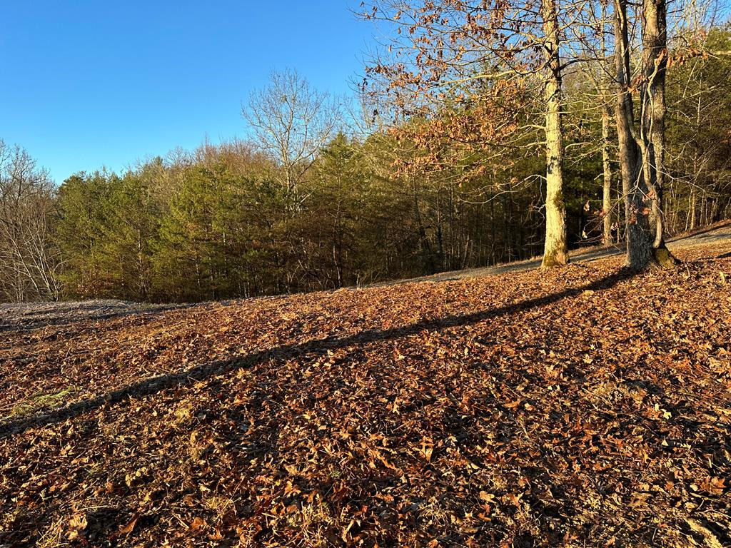 8-9 Mistletoe Ridge Murphy, NC 28906 - Photo 18 of 25