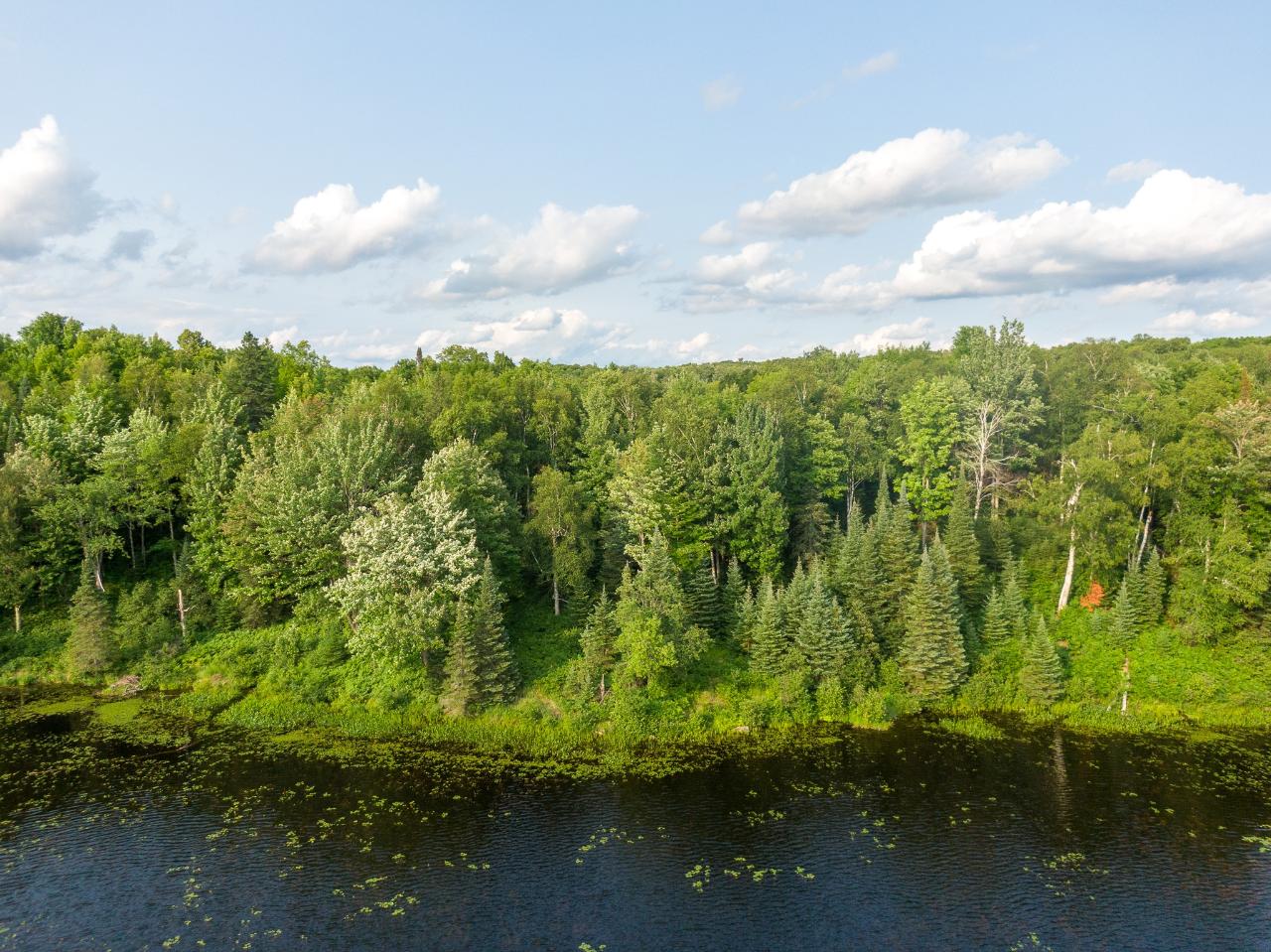 Off Pomeroy Lk Road, Unit LOT 27 Marenisco, MI 49947 - Photo 24 of 28 Gallery Image 24