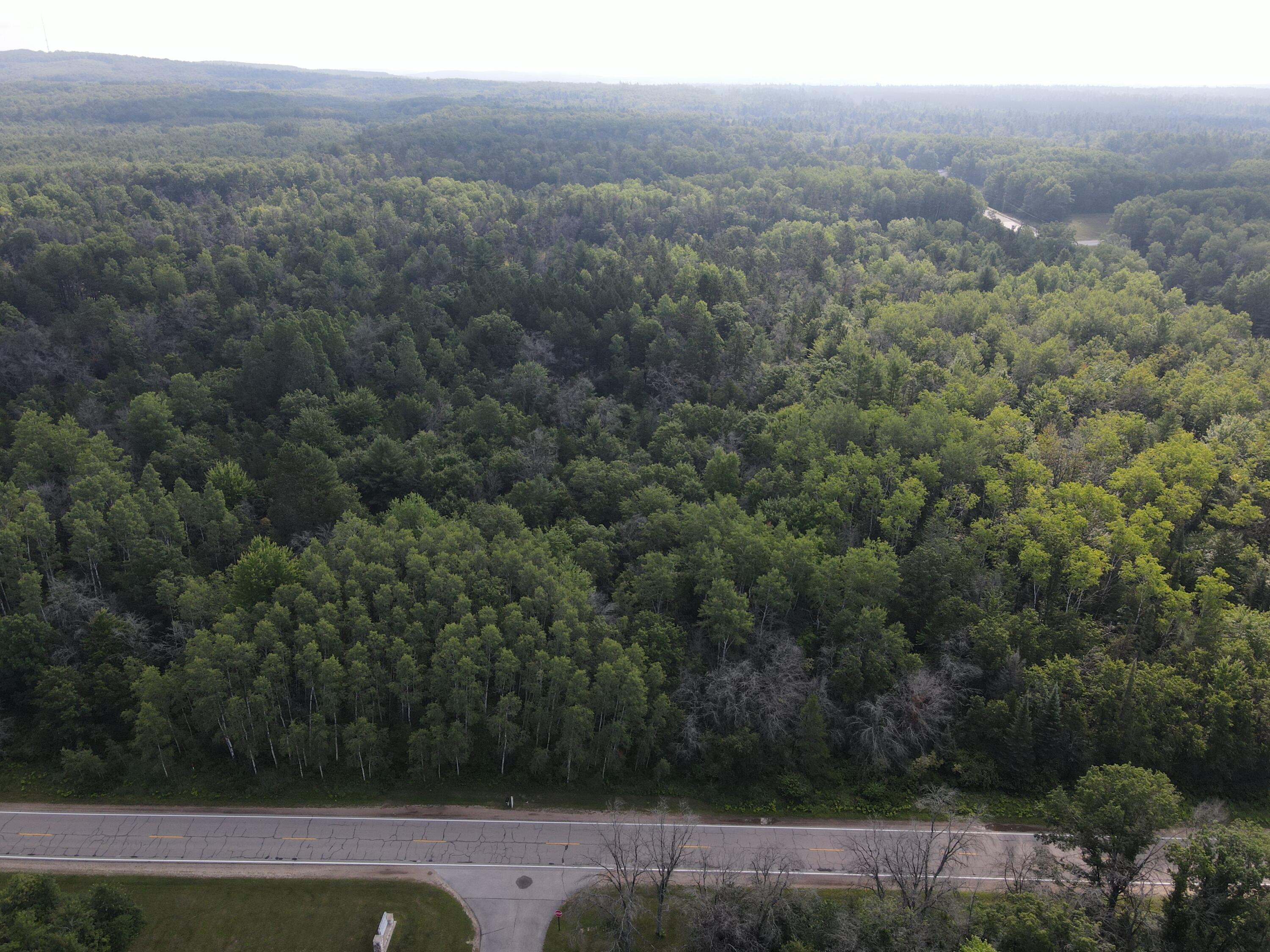 -vl South Grayling Road Grayling, MI 49738 - Photo 9 of 26 DJI_0592