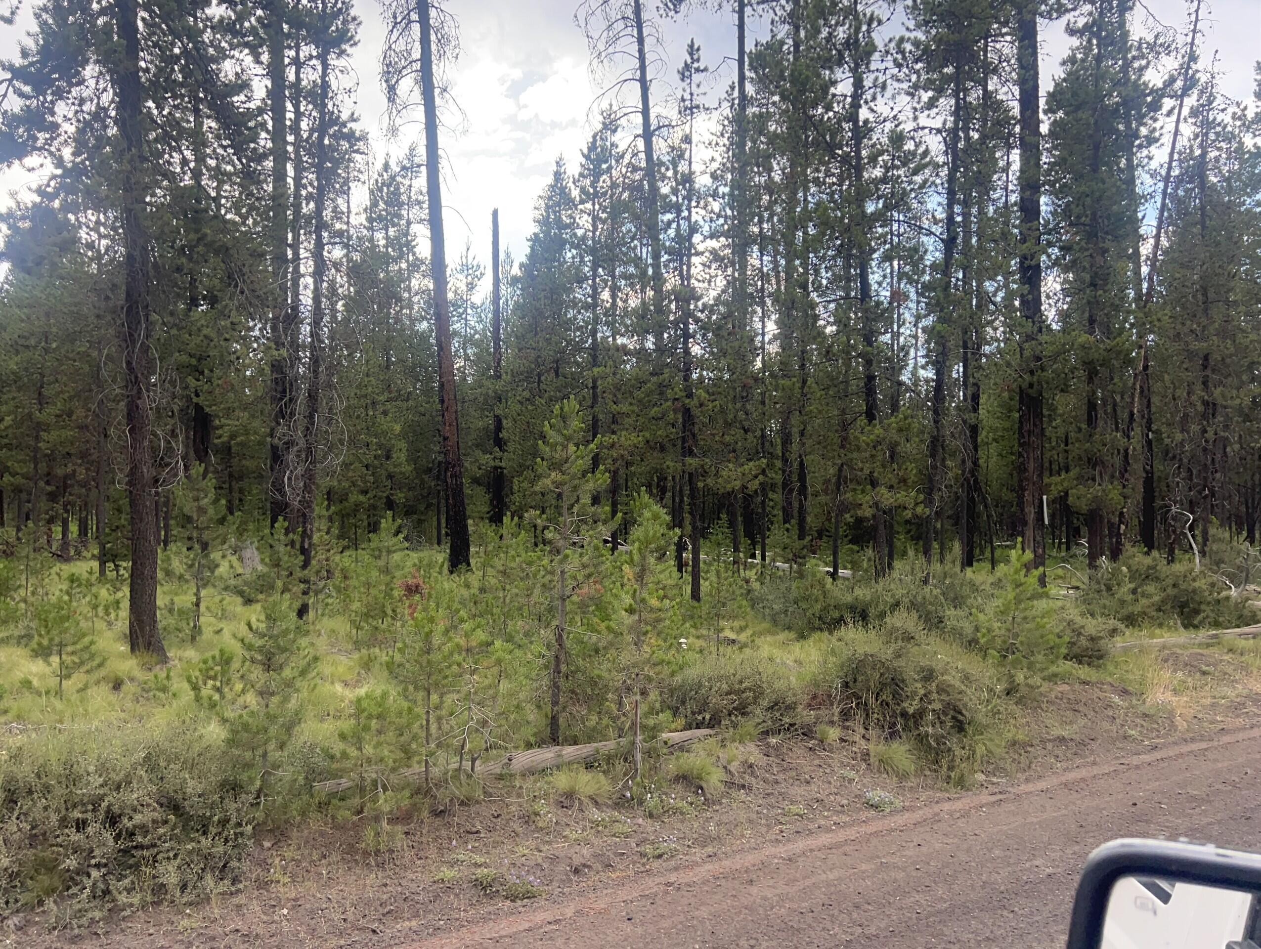 55975 Savage Road Bend, OR 97707 - Photo 4 of 5 thumbnail_IMG_5992