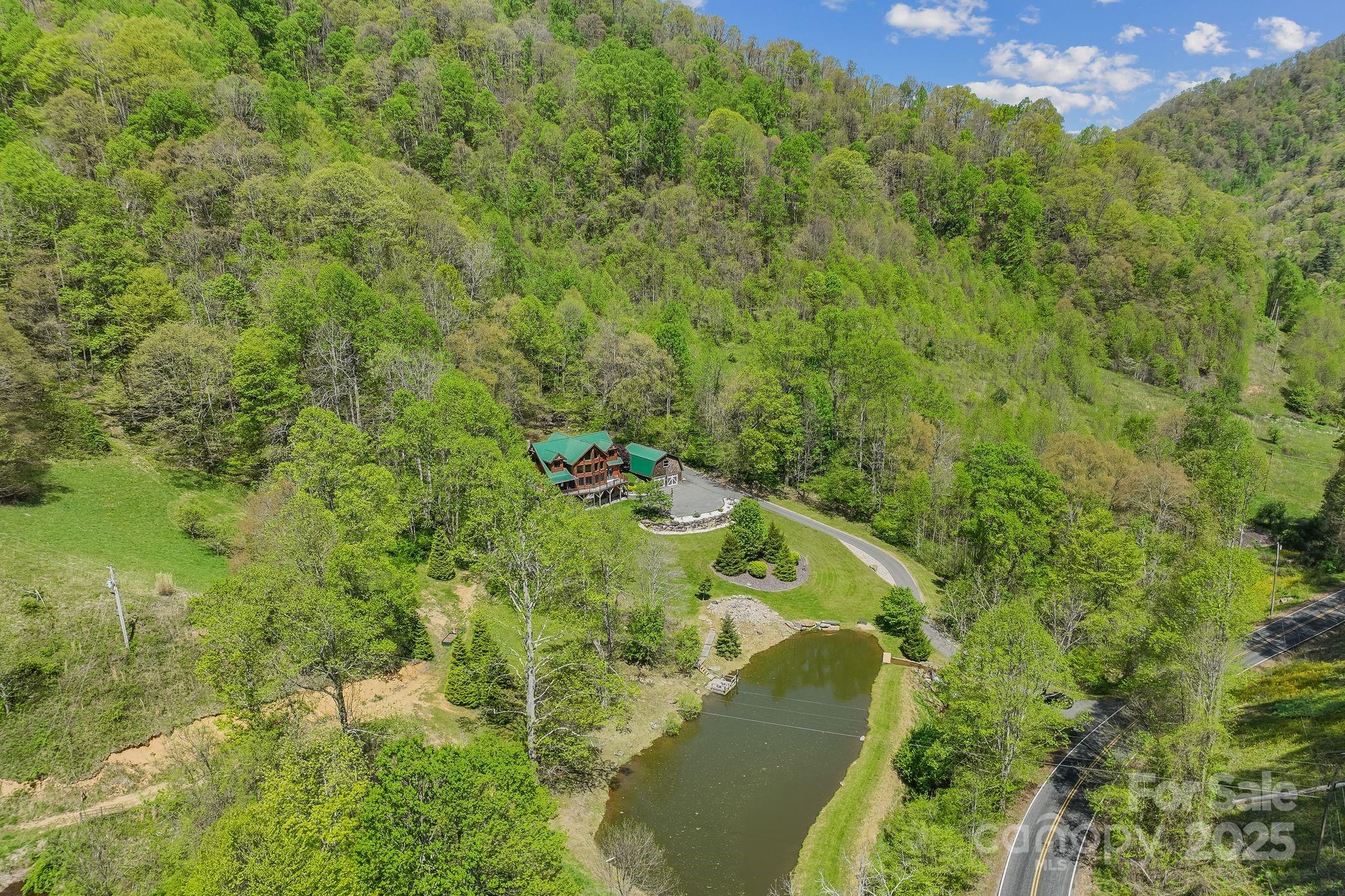 1104 Long Br Road Marshall, NC 28753 - Photo 11 of 45 a view of a yard with plants