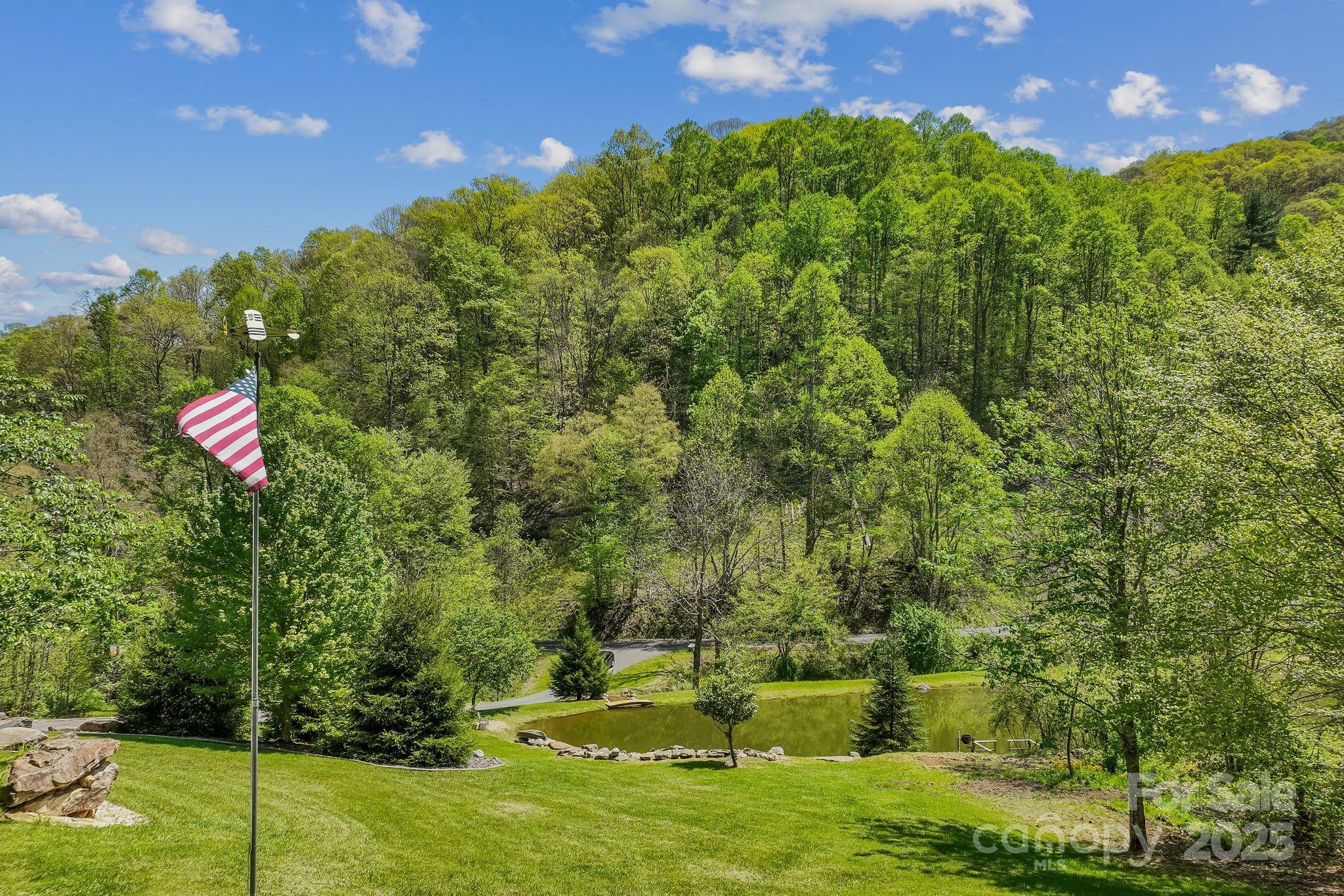 1104 Long Br Road Marshall, NC 28753 - Photo 10 of 45 a backyard of a house with lots of green space and fountain