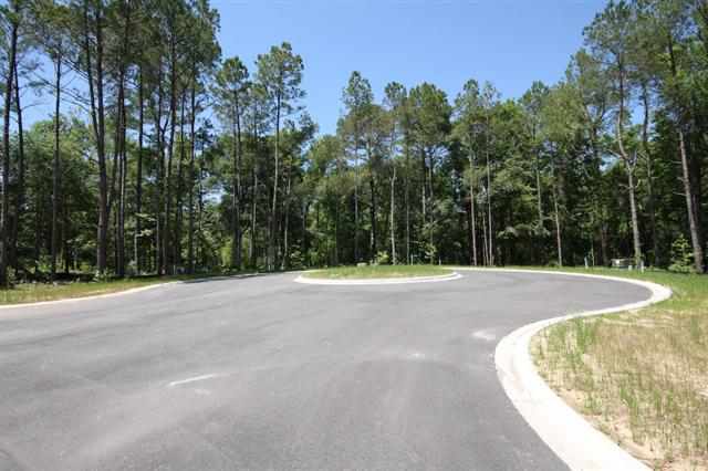 307 Rivers Edge Drive Conway, SC 29526 - Photo 8 of 13 Gallery Image 8