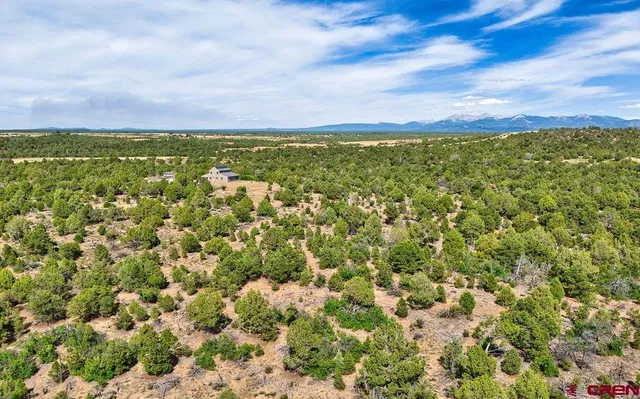 a picture of a door and yard