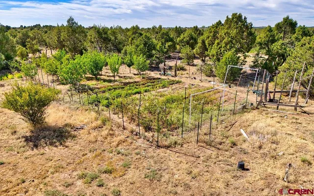 a view of a lush green field with mountains in the background