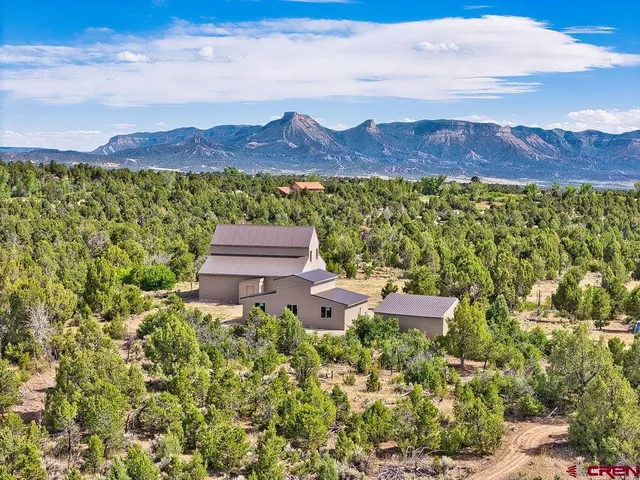 aerial view of a garden with lawn chairs