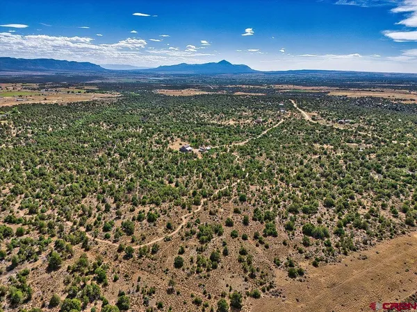 a view of a lush green field with mountains in the background