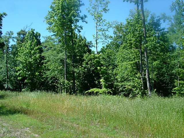 6840 Coltrane Mill Road Randleman, NC 27317 - Photo 11 of 13 Land.