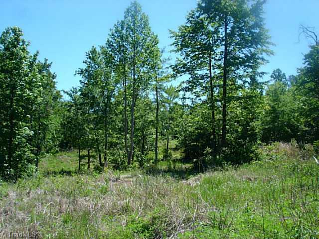 6840 Coltrane Mill Road Randleman, NC 27317 - Photo 12 of 13 Land.
