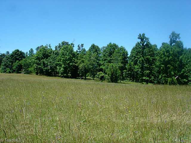 6840 Coltrane Mill Road Randleman, NC 27317 - Photo 13 of 13 Land/Lot. at road