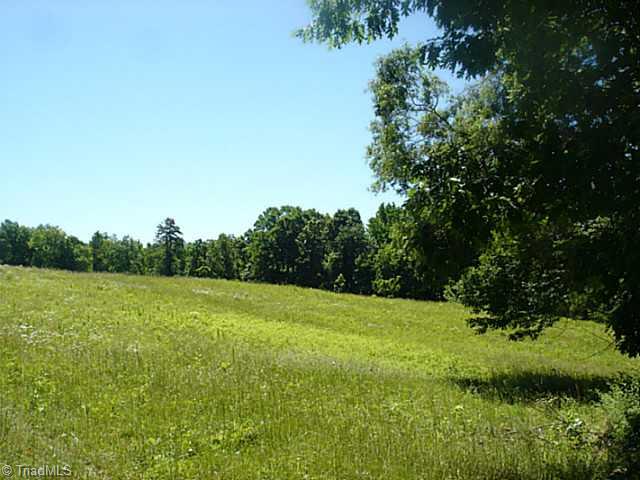 6840 Coltrane Mill Road Randleman, NC 27317 - Photo 8 of 13 Land/Lot.