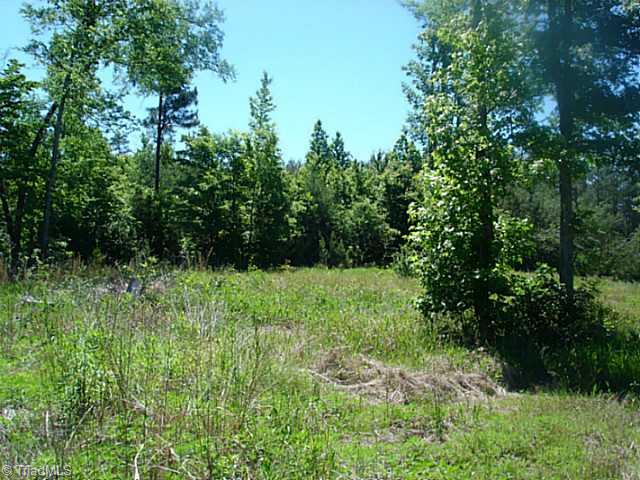 6840 Coltrane Mill Road Randleman, NC 27317 - Photo 9 of 13 Land.