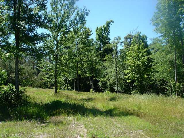 6840 Coltrane Mill Road Randleman, NC 27317 - Photo 10 of 13 Land.