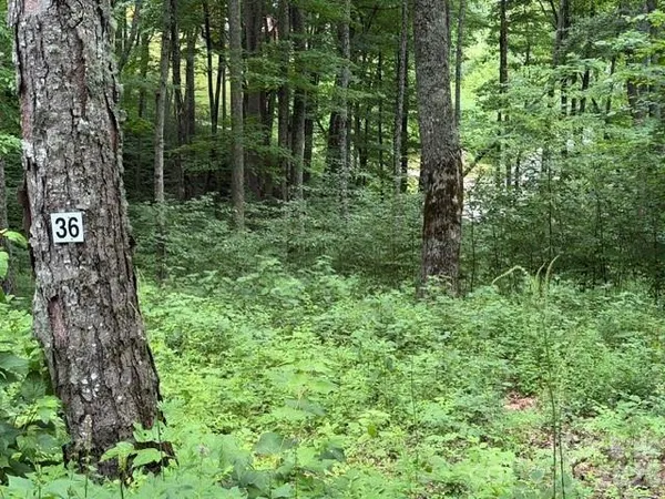 $85,500 | Lot 36 Odalu Trail, Unit 36, Maggie Valley, NC 28751