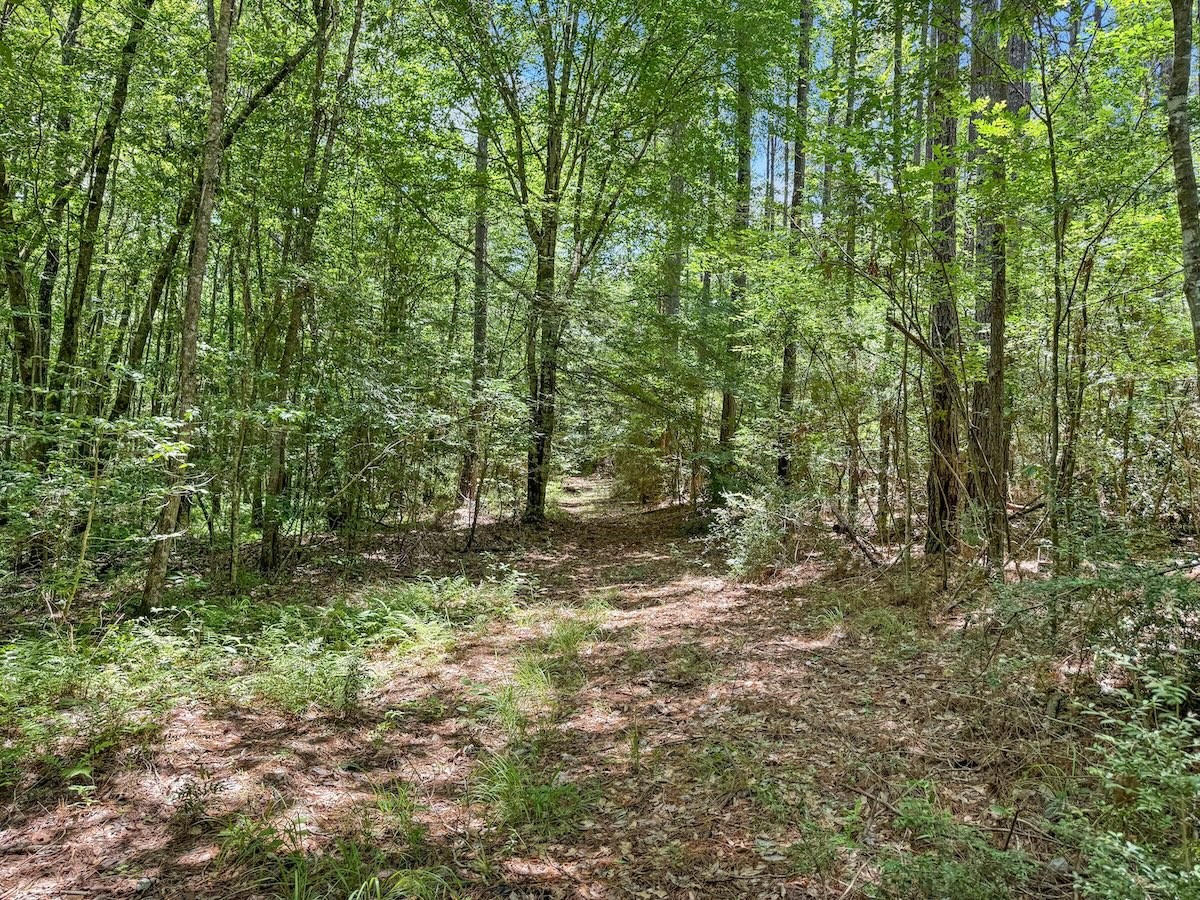Tbd Hickman Road Burkeville, TX 75932 - Photo 43 of 45