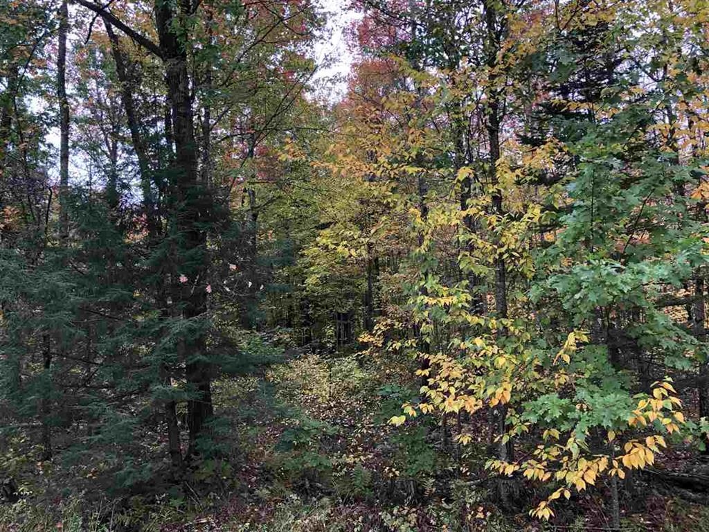 48.6-acres County Road West Merrill, WI 54452 - Photo 2 of 17