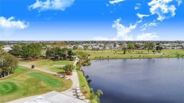 a view of a lake with a large trees