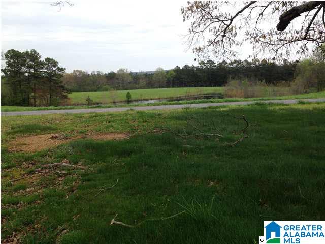 3553 Boat Landing Road Oneonta, AL 35121 - Photo 15 of 27