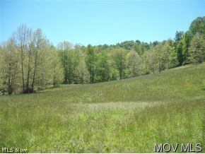 0 Holbrook Road Berea, WV 26327 - Photo 4 of 13