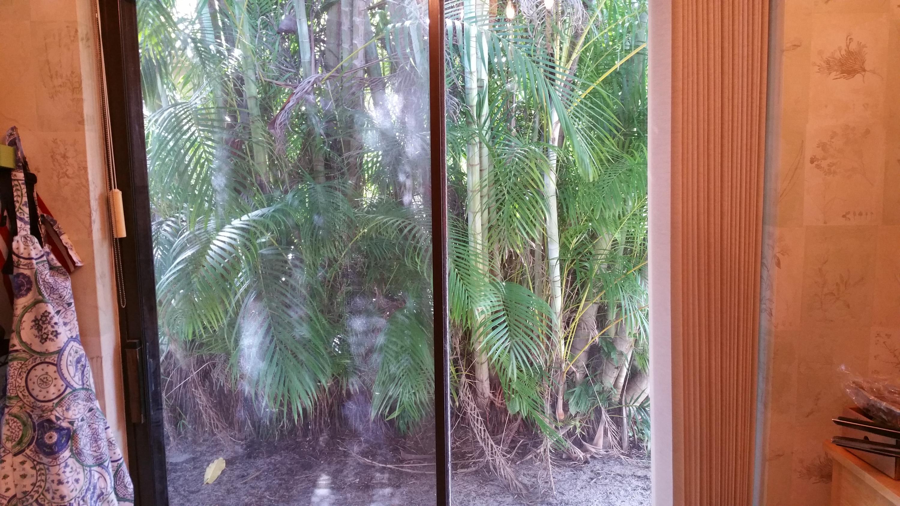 6350 Sweet Maple Lane Boca Raton, FL 33433 - Photo 26 of 76 6350 Sweet Maple Ln Boca 33433 (25)