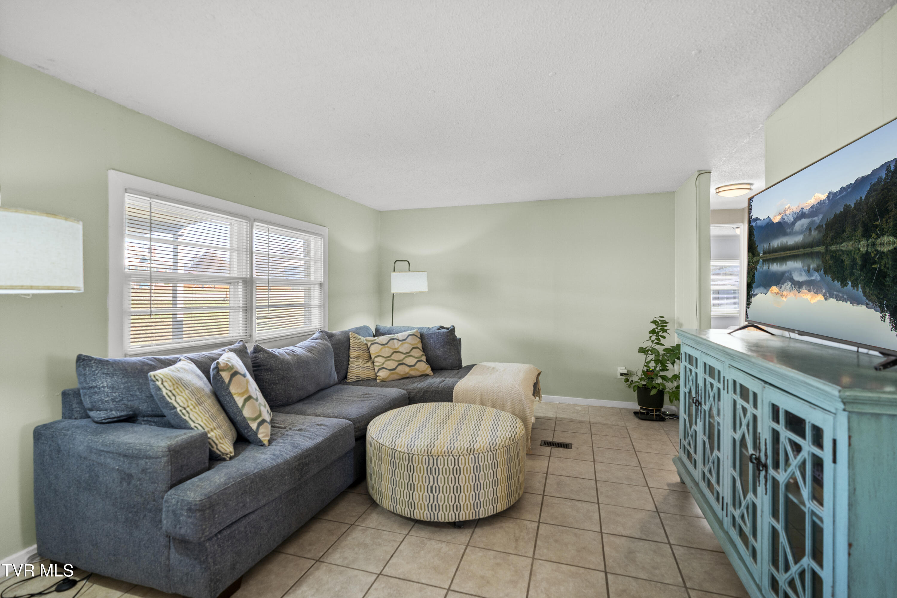 1193 Shadden Road Gray, TN 37615 - Photo 10 of 24 DSC00137