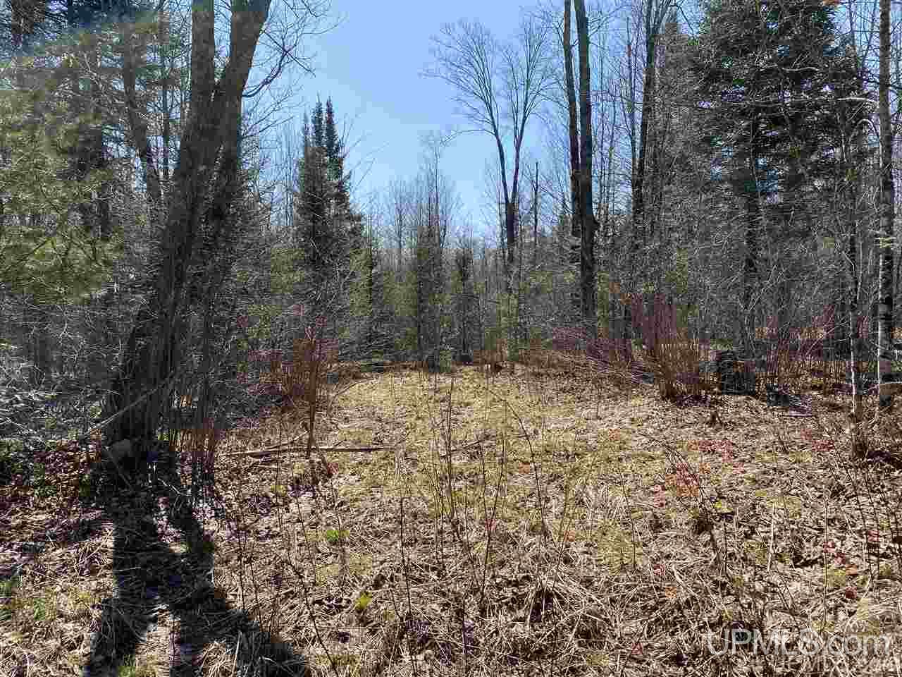 Off Nelson Road Glidden, WI 54527 - Photo 17 of 23