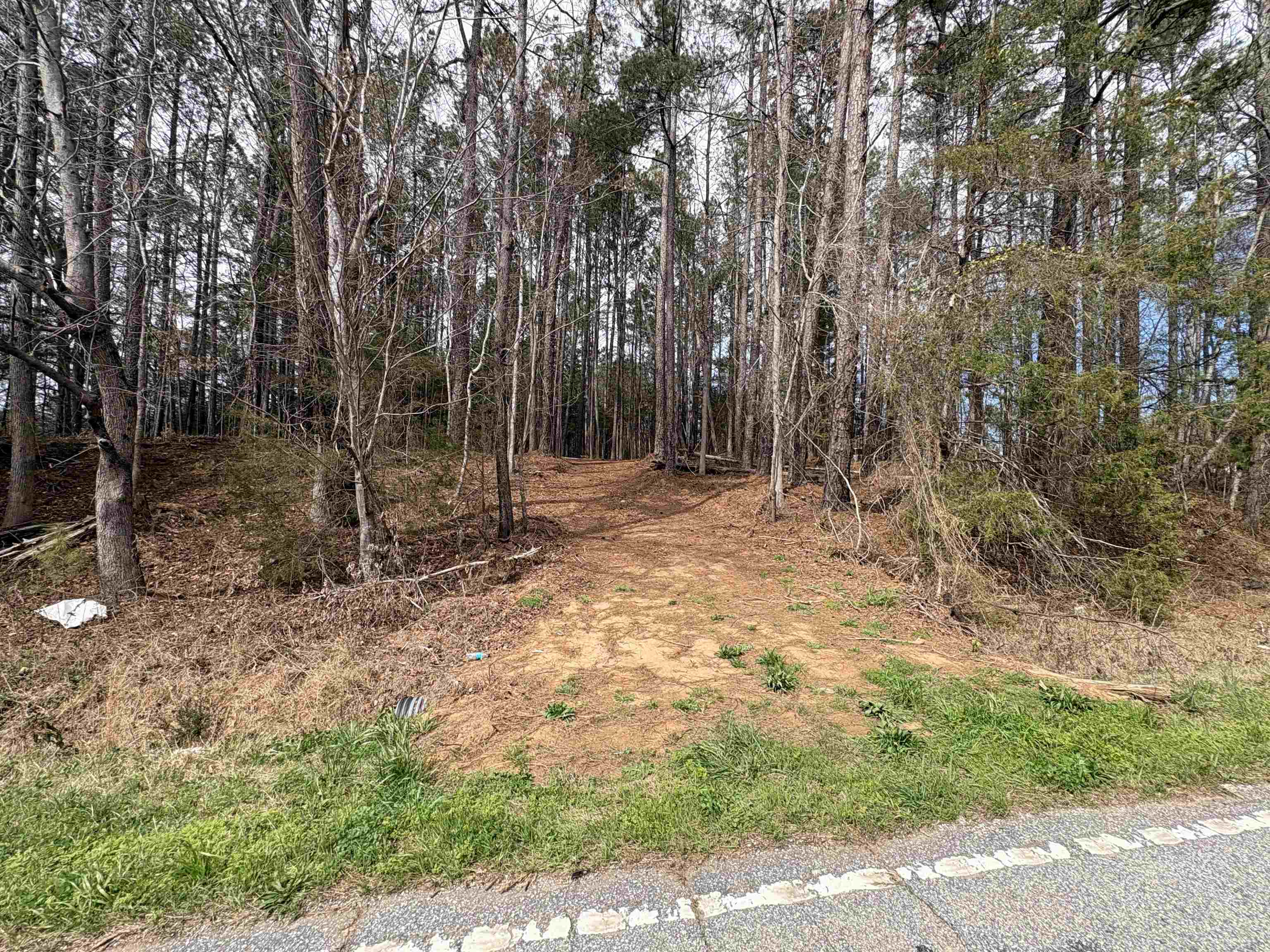 0 Union Highway Pacolet, SC 29372 - Photo 2 of 7