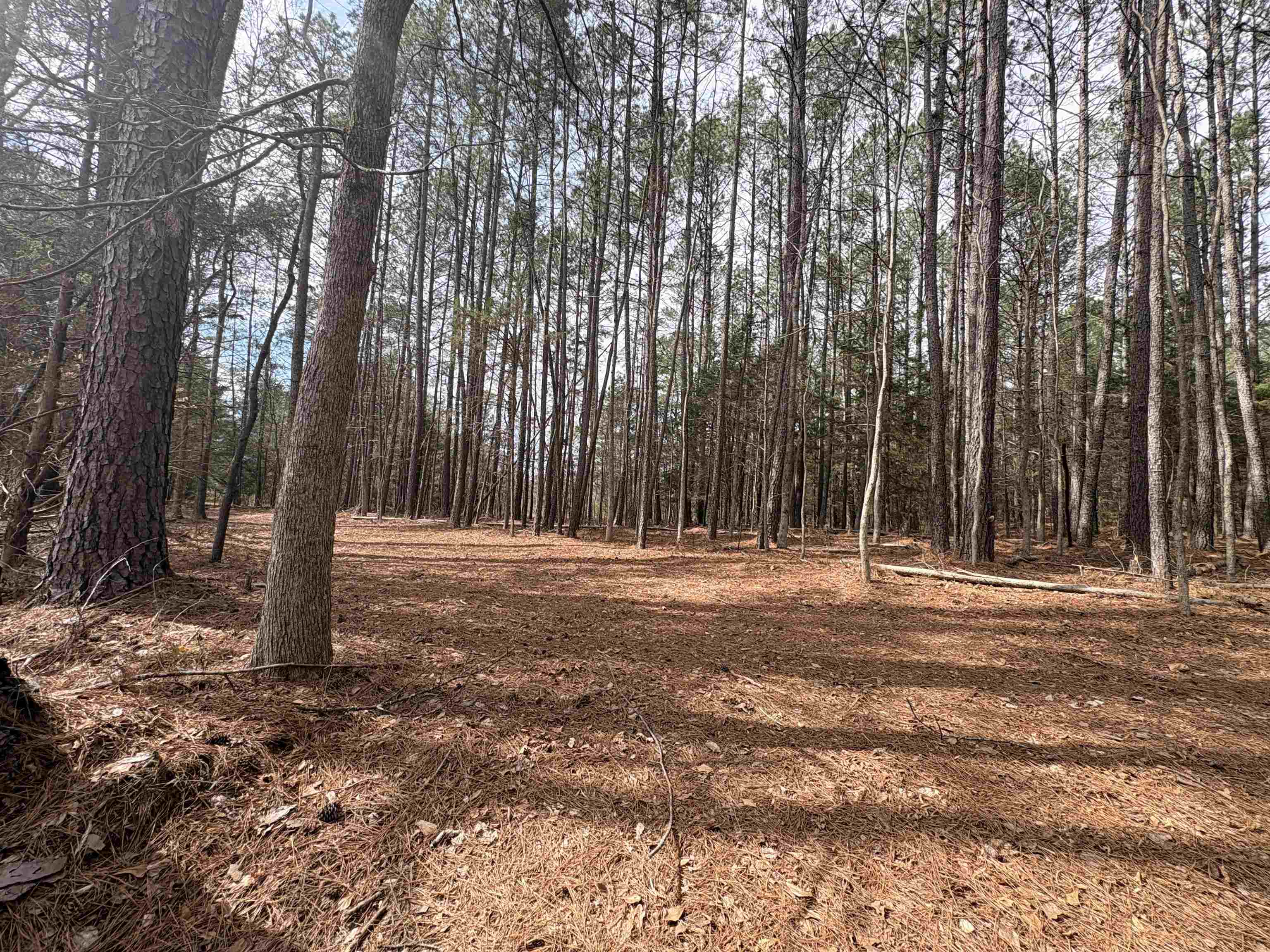 0 Union Highway Pacolet, SC 29372 - Photo 3 of 7